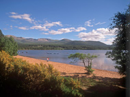 Gallia foto 3