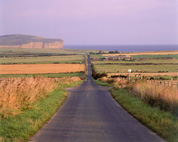 Gallia foto 5