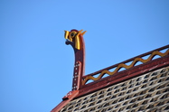 Gallia foto 10