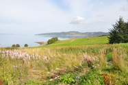 Gallia foto 5
