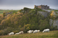 Gallia foto 1