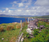Gallia foto 4
