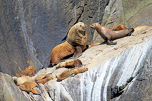 Gallia foto 3
