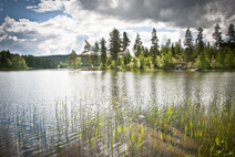 Gallia foto 5