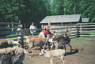 Gallia foto 2