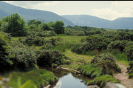 Gallia foto 8