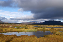 Gallia foto 9