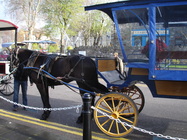 Gallia foto 5